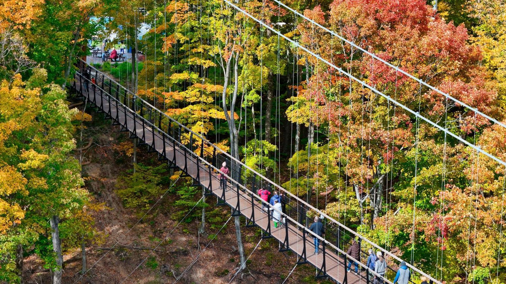 691 Disciples Village Condo Boyne Falls Buitenkant foto